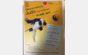 Programme des défis du shogun 2017