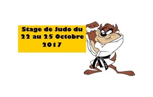 STAGE DE JUDO