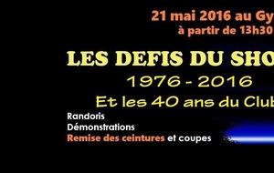 Les Défis du Shogun